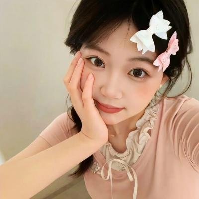 汽车女窃贼